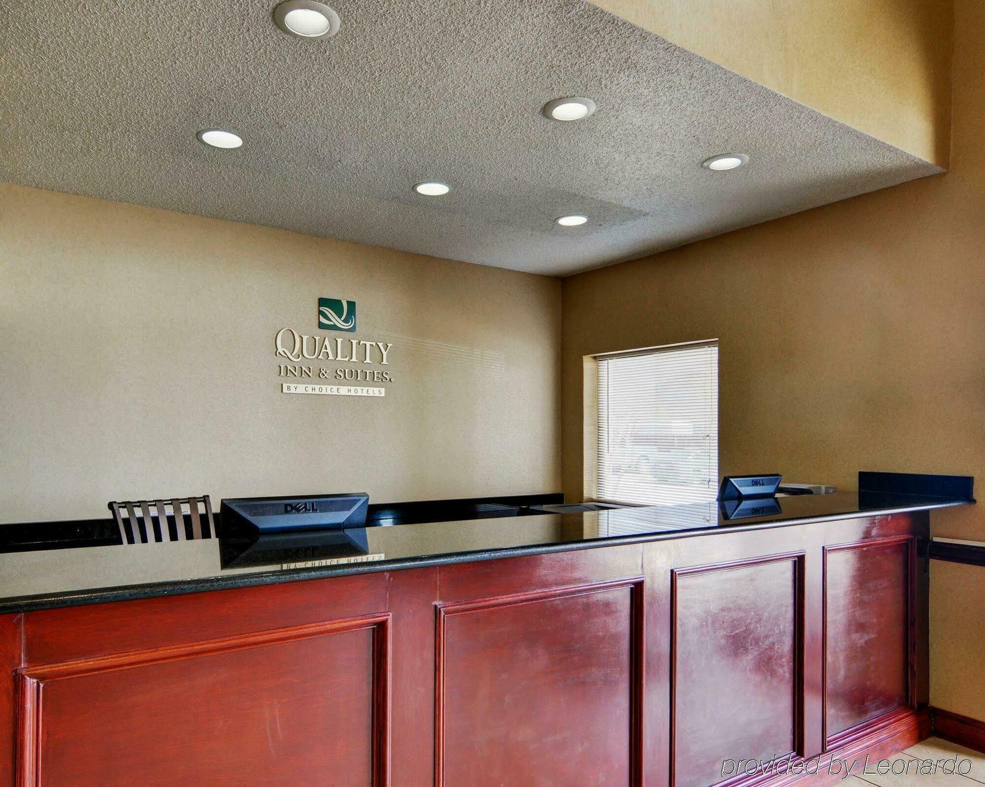Executive And Wichita Falls